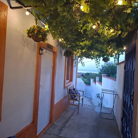тони- атия Guest house